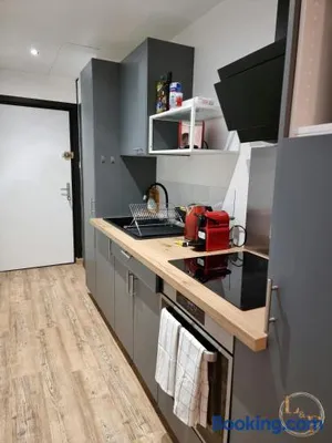Image of La Comoé - 5 min centre Pau - 1 chambre - Parking