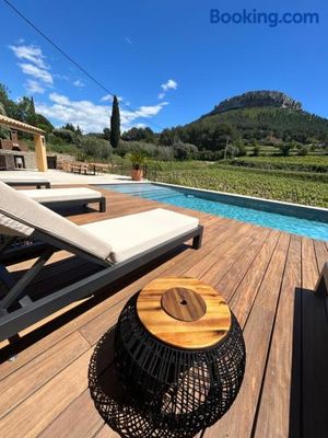 Image of Côté vignes cassis