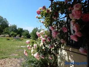 Image of Gîte à la campagne proche d'Angers et de la Loire
