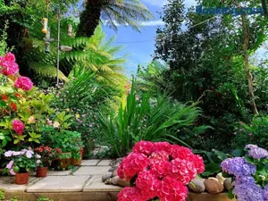 Image of Funky Urban Jungle