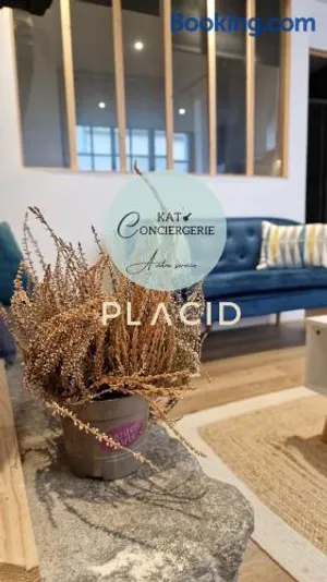 Image of Le charme de Vannes à vos pieds - murs en pierre