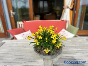 Image of Hestar Husid, het luxe paardenhuis