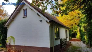 Image of Dennenhuis