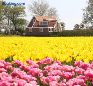 Image of Bungalow Callantsoog