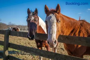 Image of Rusmar Farm Equine Country Living 'n Powhatan, VA