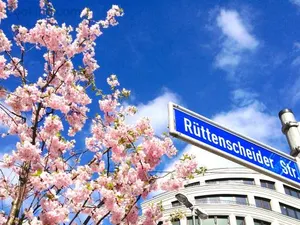 Image of RÜ Business Apartments & Suites