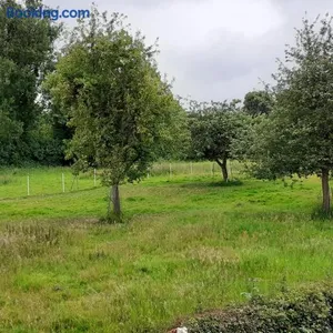 Image of pause à la campagne