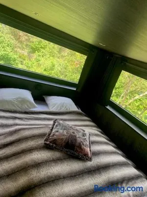 Image of Wild Cube
