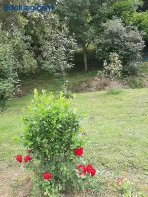 Image of La demeure de Bysance