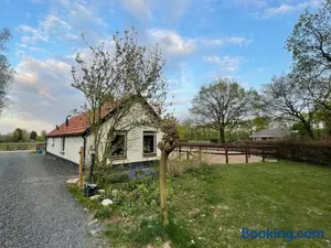 Image of Tiny house Veluwse Garre