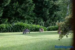 Image of Bundanoon @2578