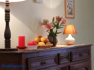 Image of Charmante maison XIXe avec jardin, Wifi et baptêmes de l'air à proximité - FR-1-497-32