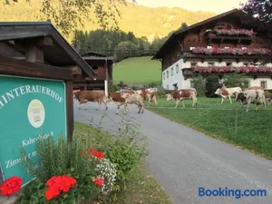 Image of Hinterauerhof
