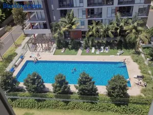 Image of Pool View of Marquarie Park Paradise