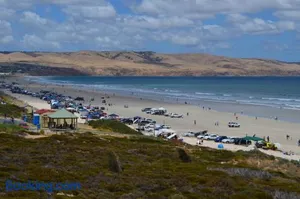 Image of The Lamb Shack