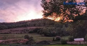 Image of La Petite Porte Verte