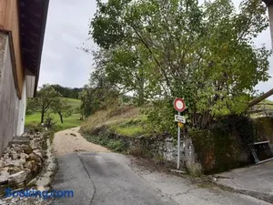 Image of Gislifluh Frey Maya