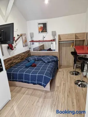Image of 07 - Joli studio tout équipé avec vue sur jardin, parking privatif gratuit, grand fourgon possible, tout le linge de maison est fourni