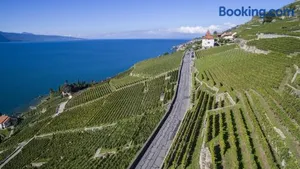 Image of Domaine du Burignon