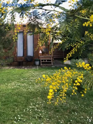 Image of Les Suites d'Aliénor-Suite Mimosa