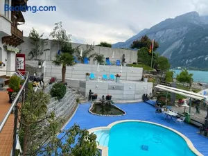 Image of Alpenblume