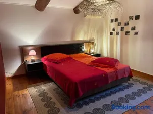 Image of MAS D’OLIVE ET KALOU