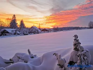 Image of Landpension Pferdekoppel - B&B - Self Checkin