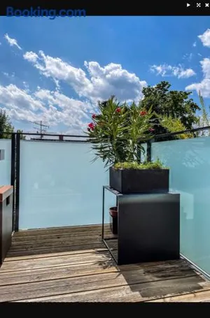 Image of Zimmer - Modernes Apartment mit 45 qm.