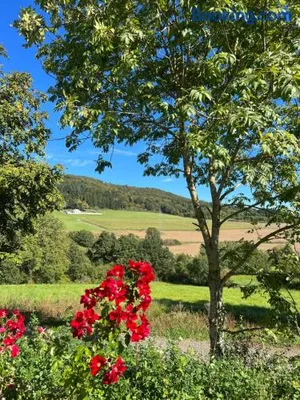 Image of NETTEN Naturerlebnis Holz-Chalets