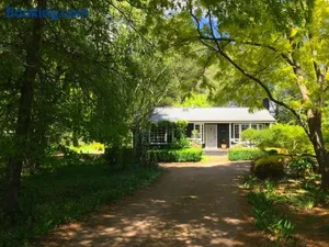 Image of Mirriyindi for 9 Berrima