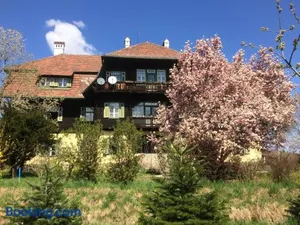 Image of Zeilinger Villa