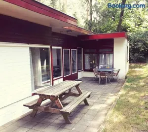 Image of Bonte Specht