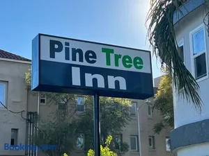 Image of Pine tree inn