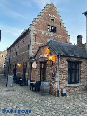 Image of De Pelgrim