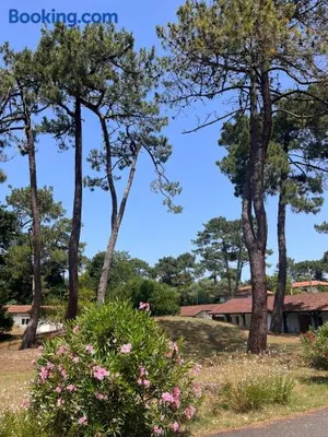 Image of Les Pastourelles