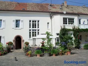 Image of Bio-Weingut, Gästehaus und Kräuterhof