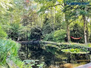 Image of Prachtige chalet in het bos met sauna!