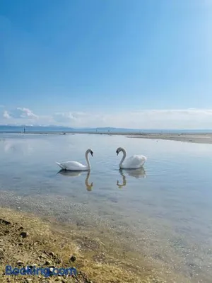 Image of " Sunshine am See "