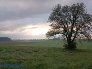 Image of Bio Kinder Erlebnis Bauernhof Voit
