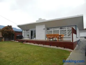 Image of Elusive Penguin