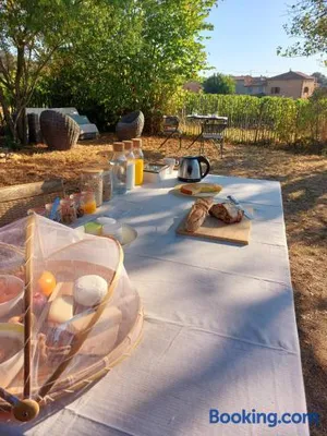 Image of Songes de vigne