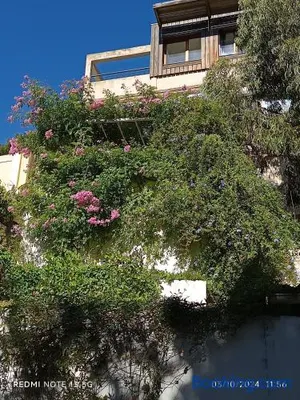 Image of Studio indépendant terrasse entre mer et collines