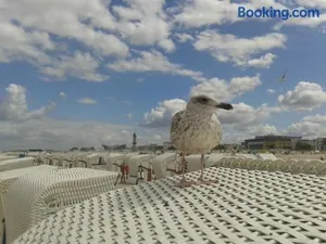 Image of Ferienwohnungen Warnemuende Objekt