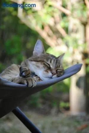 Image of Les Chambres De La Loge