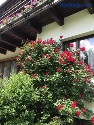Image of Landhaus am Kurpark