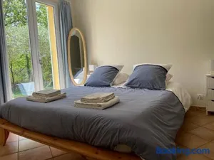 Image of Les marguerites
