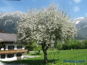 Image of Bauernhof Neu-Endfelden, Günter Widauer