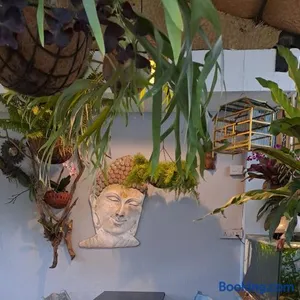 Image of Afonso Guest House - Fontainhas