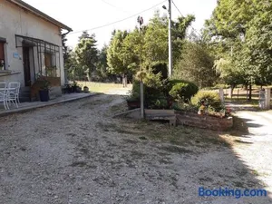 Image of Les Marguerites Aux Lotz