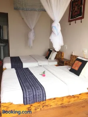 Image of Mintu Home